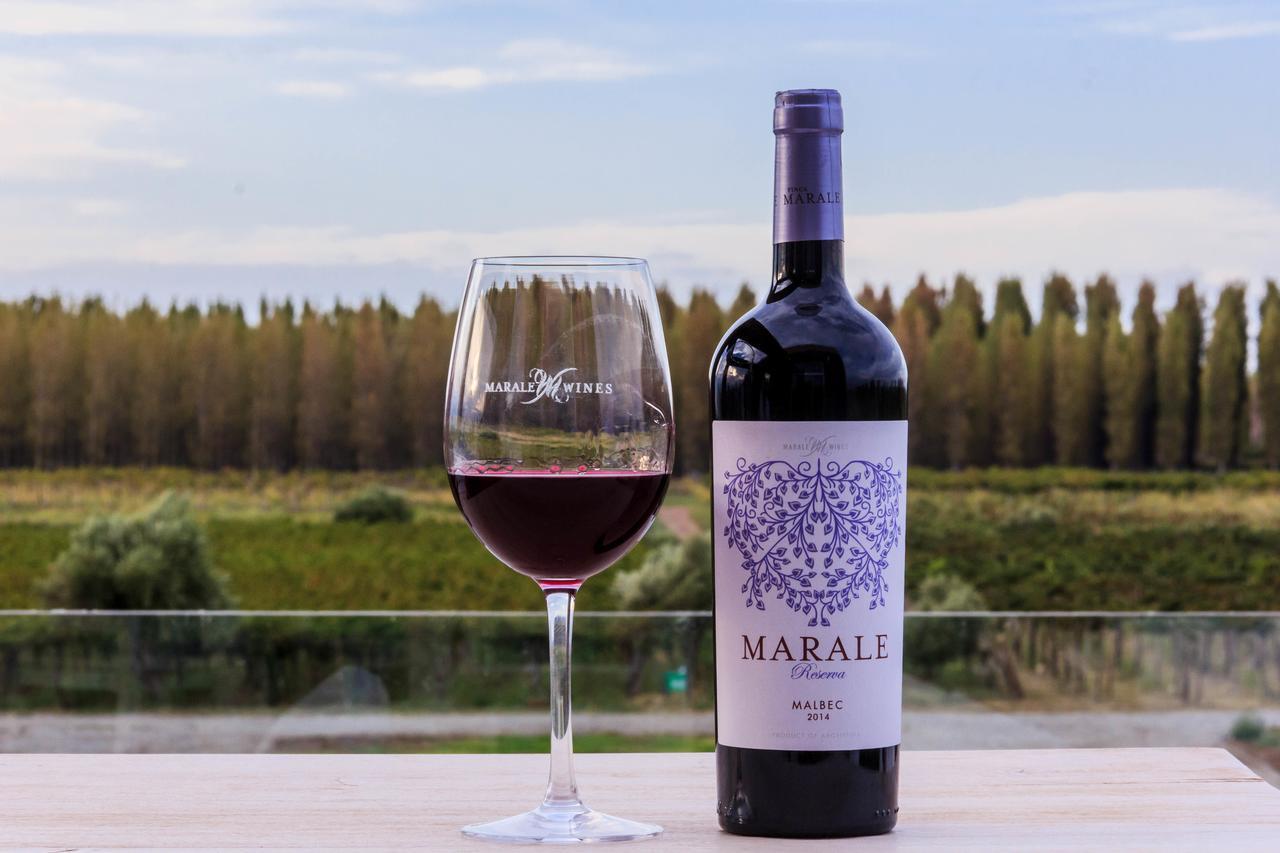 Marale Wines Hotel Boutique Villa Media Agua Exteriér fotografie